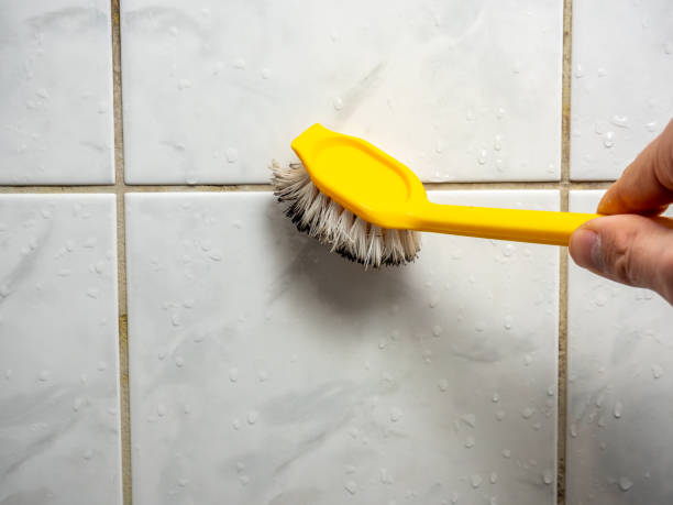Best Mold Cleaning Services  in Maricopa, CA