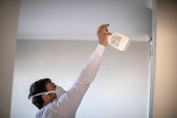 Best Best Mold Removal Companies  in Maricopa, CA