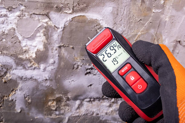 Best Commercial Mold Removal  in Maricopa, CA