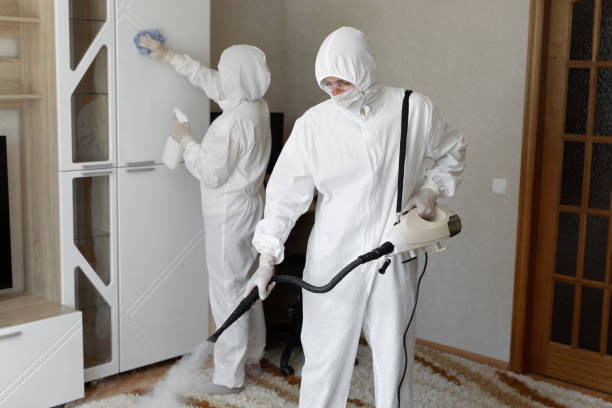 Best Certified Mold Removal  in Maricopa, CA