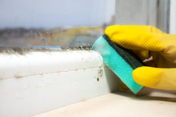 Best Mold Testing  in Maricopa, CA