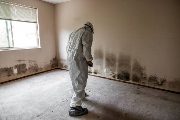 Best Mold Testing  in Maricopa, CA
