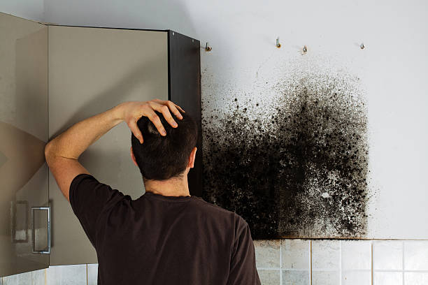 Best Crawl Space Mold Removal  in Maricopa, CA